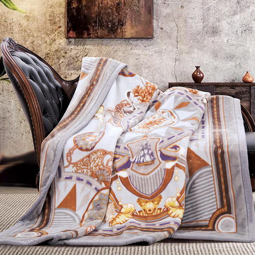 鑫缘 拉舍尔双层超柔毛毯 BTH2023 商品图2