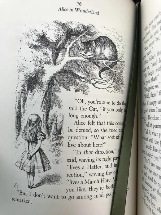 限量版！爱丽丝梦游仙境 约翰·坦尼尔经典插图 豪华皮装32开 商品图13