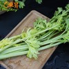 桂河芹菜  青菜辅料 广州蔬菜新鲜配送 300g 商品缩略图1