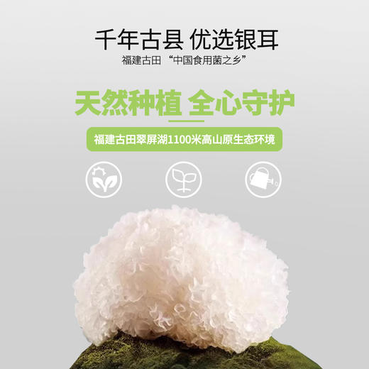 冠辉古田本草银耳，一焖一倒，润养开启 商品图1