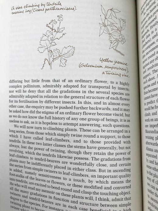 限量版！含藏书票 查尔斯・达尔文《物种起源》 配插图 富兰克林图书馆豪华皮装本 商品图10