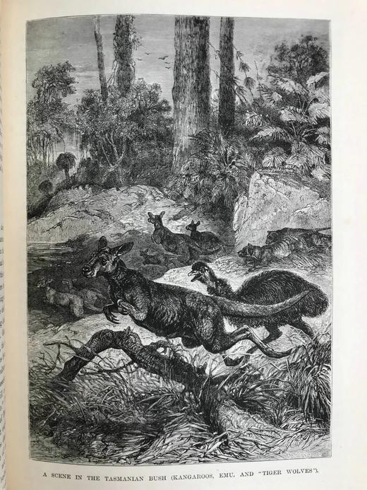 约19世纪后期 罗伯特·布朗宁《世界各国》（卷4） 约百幅版画插图 漆布精装16开 商品图12