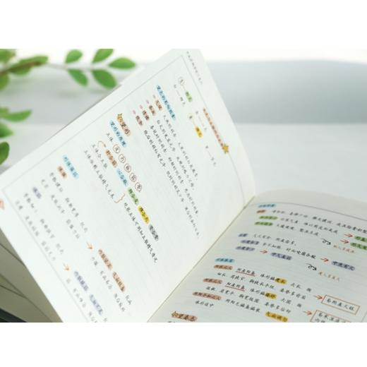 中医诊断学学习笔记 商品图6
