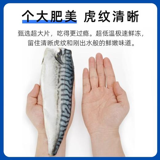 【混知推荐】市舶士挪威进口青花鱼包邮冷冻新鲜深海鱼片海鲜水产 商品图2