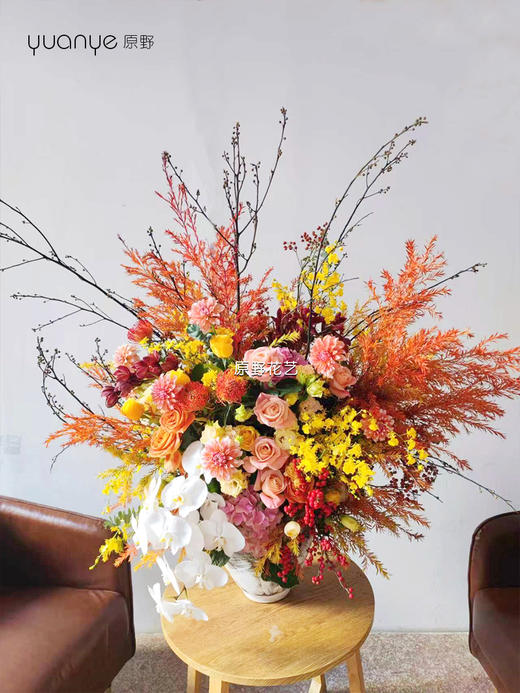 【富贵招财】蝴蝶兰千层金混搭瓶花（生日拜年乔迁开业搬家祝寿升职升迁等） 商品图0