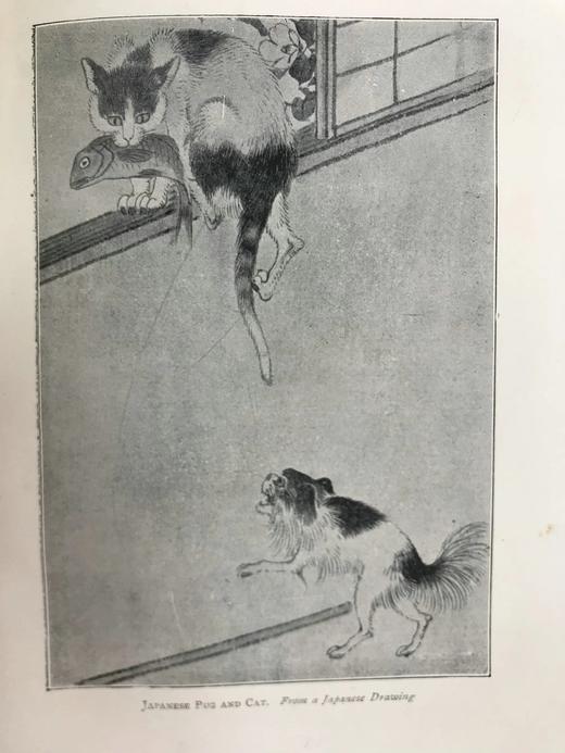 1906年 动物园生活 16幅插图 漆布精装32开 商品图11