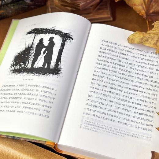 【插图珍藏版】猎人笔记 商品图4