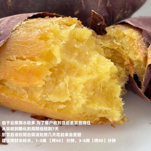 [最农公社]双拼5A糯金莎(红薯/紫薯)免洗恒温糖化红薯买4斤送0.5斤实发4.5斤 商品图5