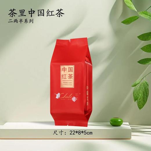 茶里【红.125g中国红茶CK-S223】铝箔袋.18元一把.一把100个.满20把包邮 商品图0