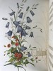 1848年 欧文琼斯 花朵与它们的千思万绪 10余幅精美套色版画 皮革浮雕艺术装帧精装16开 商品缩略图7