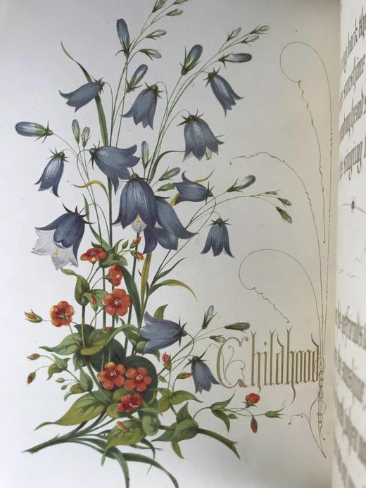 1848年 欧文琼斯 花朵与它们的千思万绪 10余幅精美套色版画 皮革浮雕艺术装帧精装16开 商品图7