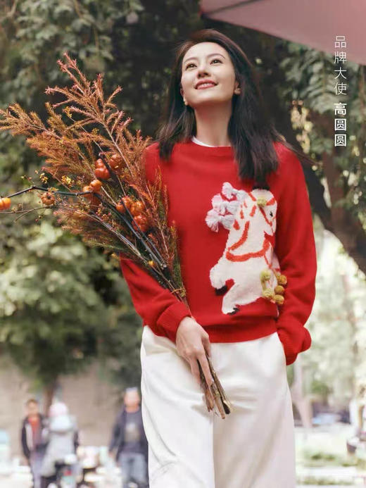 马年限定高圆圆同款马年图腾吉祥如意羊毛衫 商品图1