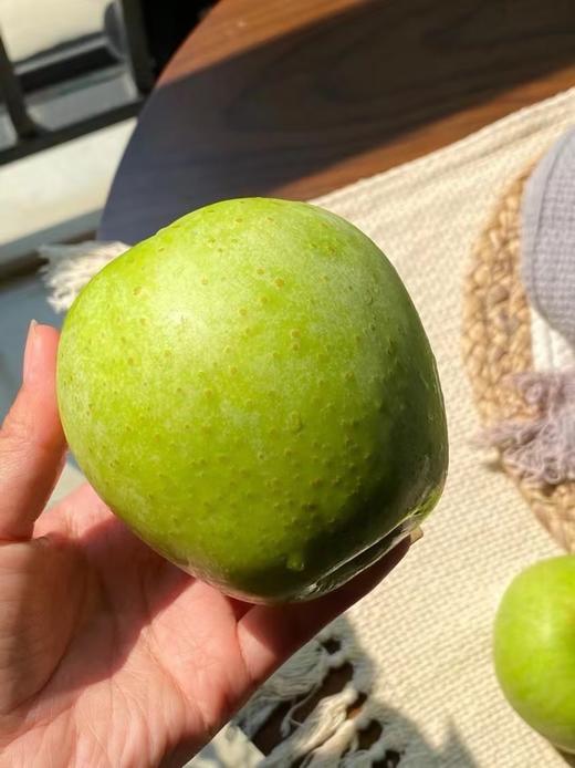 【王林苹果】苹果中的“贵族”，自带兰花香气，清新馥郁，清脆爽口，香甜爆汁细腻无渣，营养丰富～ 商品图4