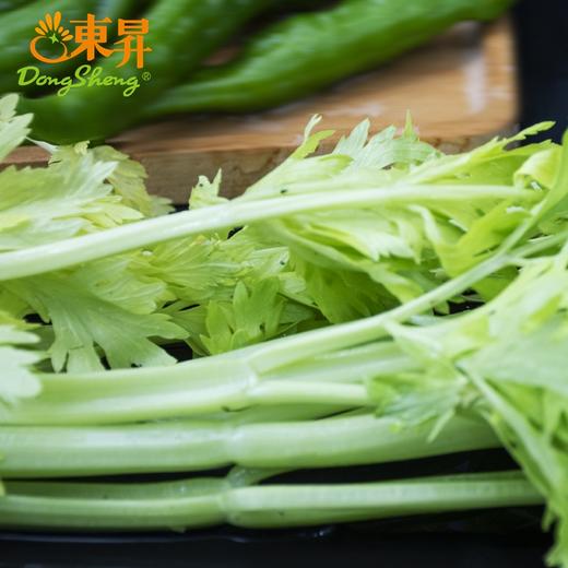 桂河芹菜  青菜辅料 广州蔬菜新鲜配送 300g 商品图3