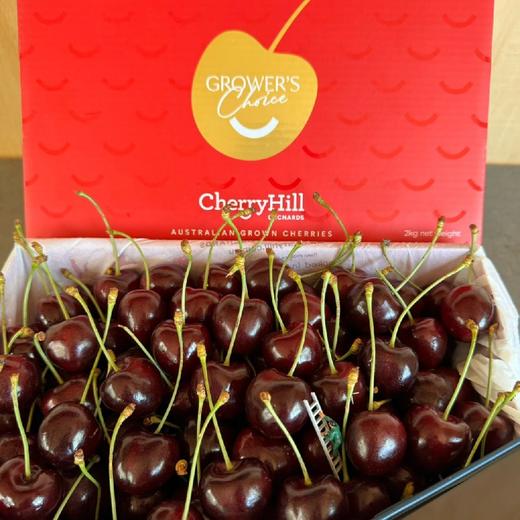 澳洲原装进口车厘子【汉森Hansen  高山lapins】 商品图1