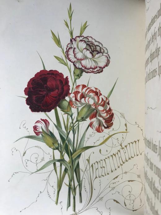 1848年 欧文琼斯 花朵与它们的千思万绪 10余幅精美套色版画 皮革浮雕艺术装帧精装16开 商品图12