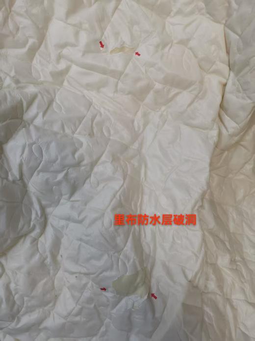 VP925152221006 博洋家纺 全棉夹棉抑菌床笠可机洗床垫保护套纯棉床笠四季通用床罩单件【180*200cm（适合3-30cm高床垫】 商品图7