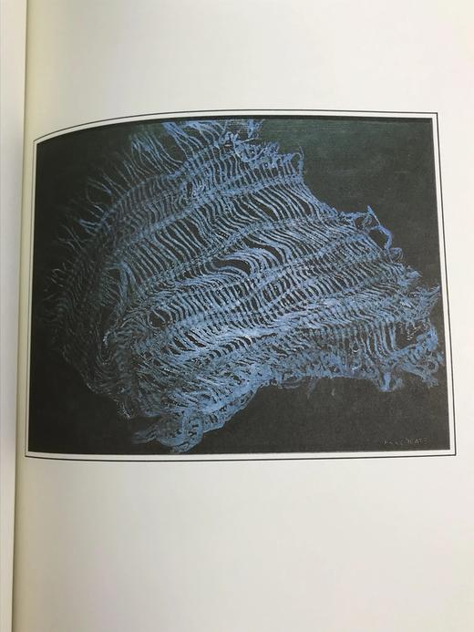 限量版！威廉・巴特勒・叶芝《叶芝诗集》 叶芝女儿配插图 富兰克林图书馆豪华皮装本 商品图9