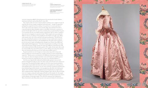 Marie Antoinette Style / 玛丽·安托瓦内特风格图鉴 商品图3