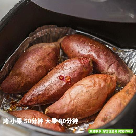 [最农公社]双拼5A糯金莎(红薯/紫薯)免洗恒温糖化红薯买4斤送0.5斤实发4.5斤 商品图3