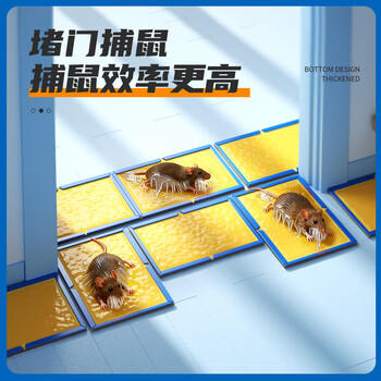 绿叶（Green Leaf）粘鼠板50张/箱 小超人老鼠粘板强效胶黏老鼠贴耗子粘板企业装 商品图5