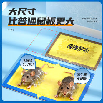 绿叶（Green Leaf）粘鼠板50张/箱 小超人老鼠粘板强效胶黏老鼠贴耗子粘板企业装 商品图4