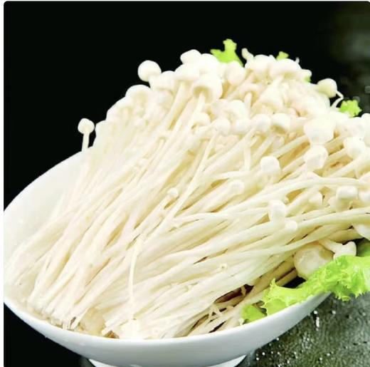【QT】新鲜金针菇新鲜菌菇 煲汤凉拌烧烤食材 商品图2