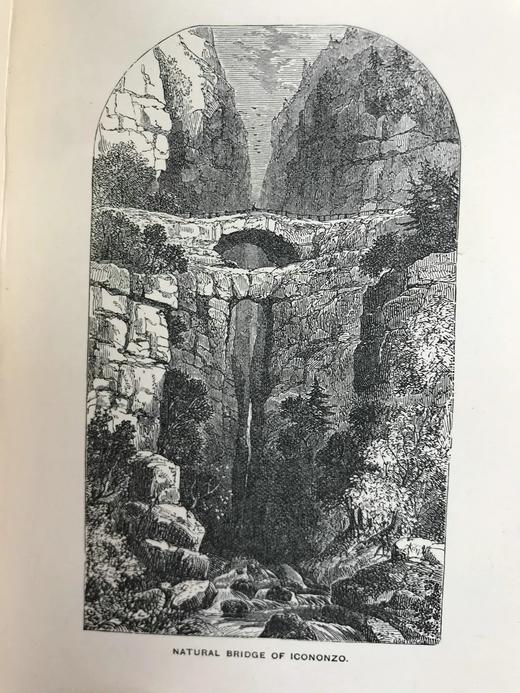 工坊特装本！1893年 自然的奇迹：异国奇景图录 21幅版画插图 全真皮精装64开 商品图7