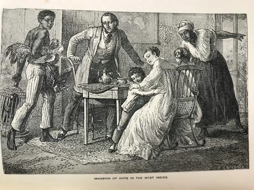 1882年 艾洛《小精灵弗里斯基特》 配精美插图 漆布精装32开 商品图5
