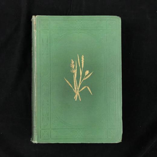 1871年 英国草本植物自然史 约74幅套色版画插图 漆布精装16开 商品图2