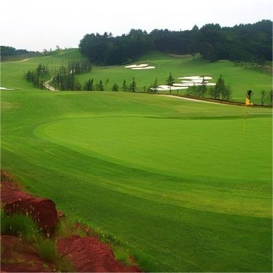 南京·苏宁钟山国际高尔夫俱乐部 Suning Zhongshan International Golf Club | 南京高尔夫球场 | 江苏高尔夫球场  |  中国 商品图4