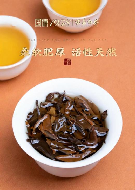 十年沉淀，方得一盏醇和｜国罐1958·2016年福鼎老白茶深度品鉴 商品图7