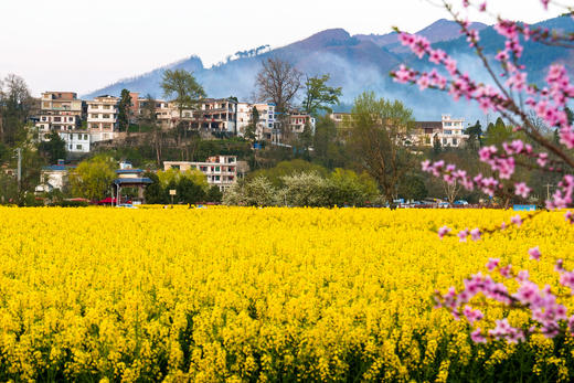 3.12确定出发【贵州】平坝樱花—普定桃花岛—金海雪山4天摄影<特惠> 商品图11