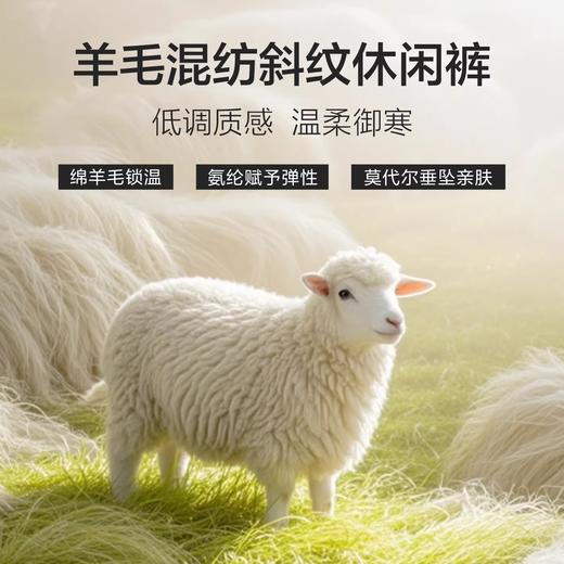 【含羊毛/莫代尔】柒牌男装2025秋冬休闲斜纹肌理梭织中青年长裤129H73250 商品图1