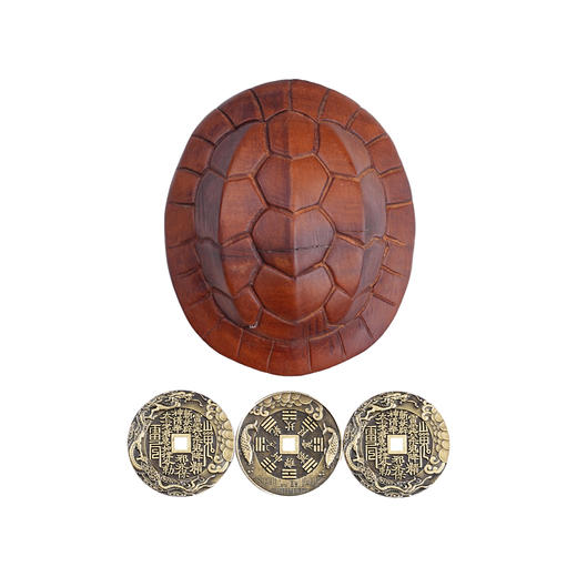 天然雷击枣木富甲天下手把件挂件木雕龟壳三个铜钱 商品图7