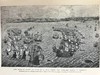 1900年 西班牙无敌舰队的故事 17幅插图 全真皮精装64开 商品缩略图11