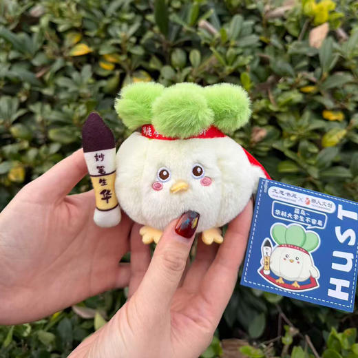 蒜鸟-华科大学生不容易 商品图6