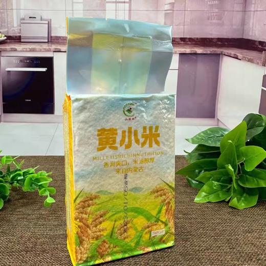 【当季新米❗️口感棉糯】内蒙古赤峰黄金苗小米500g 真空新米黄小米五谷杂粮 商品图1