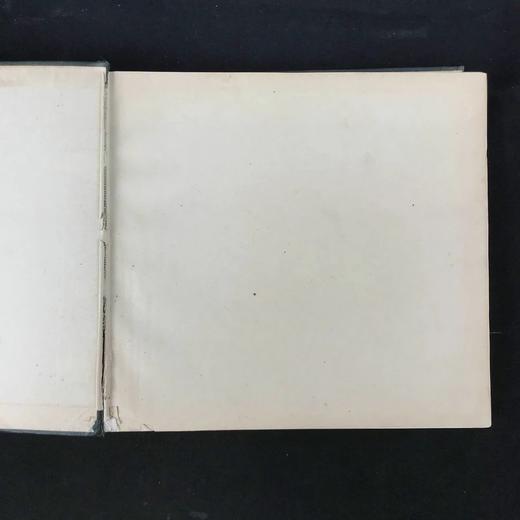 约20世纪早期 植物图鉴与名称（全2卷合订1册） 千余幅插图 精装16开 商品图3