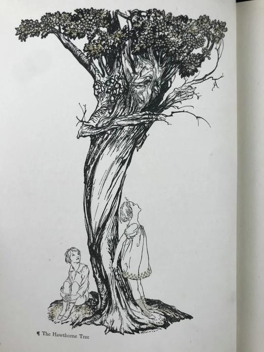 约20世纪早期 霍桑《神奇故事集》 鬼才拉克姆24幅手工贴图 漆布精装16开 商品图13