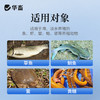 华畜水产用出血宁草鱼鲫鱼鮰鱼虾蟹 出血 败血通用 商品缩略图3
