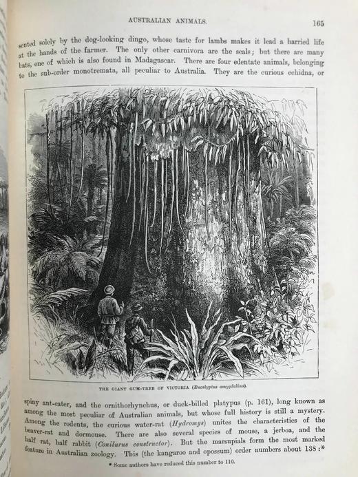 约19世纪后期 罗伯特·布朗宁《世界各国》（卷4） 约百幅版画插图 漆布精装16开 商品图6