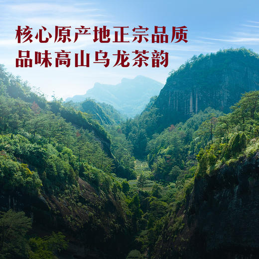 八马茶业｜鸿运当头高香乌龙茶礼大红袍清香铁观音单丛组合211g 商品图3