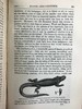 1889年 达尔文《比格尔号环球航行日记》 配插图 漆布精装32开 商品缩略图10