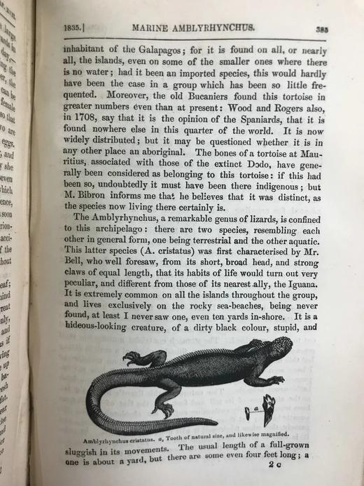 1889年 达尔文《比格尔号环球航行日记》 配插图 漆布精装32开 商品图10