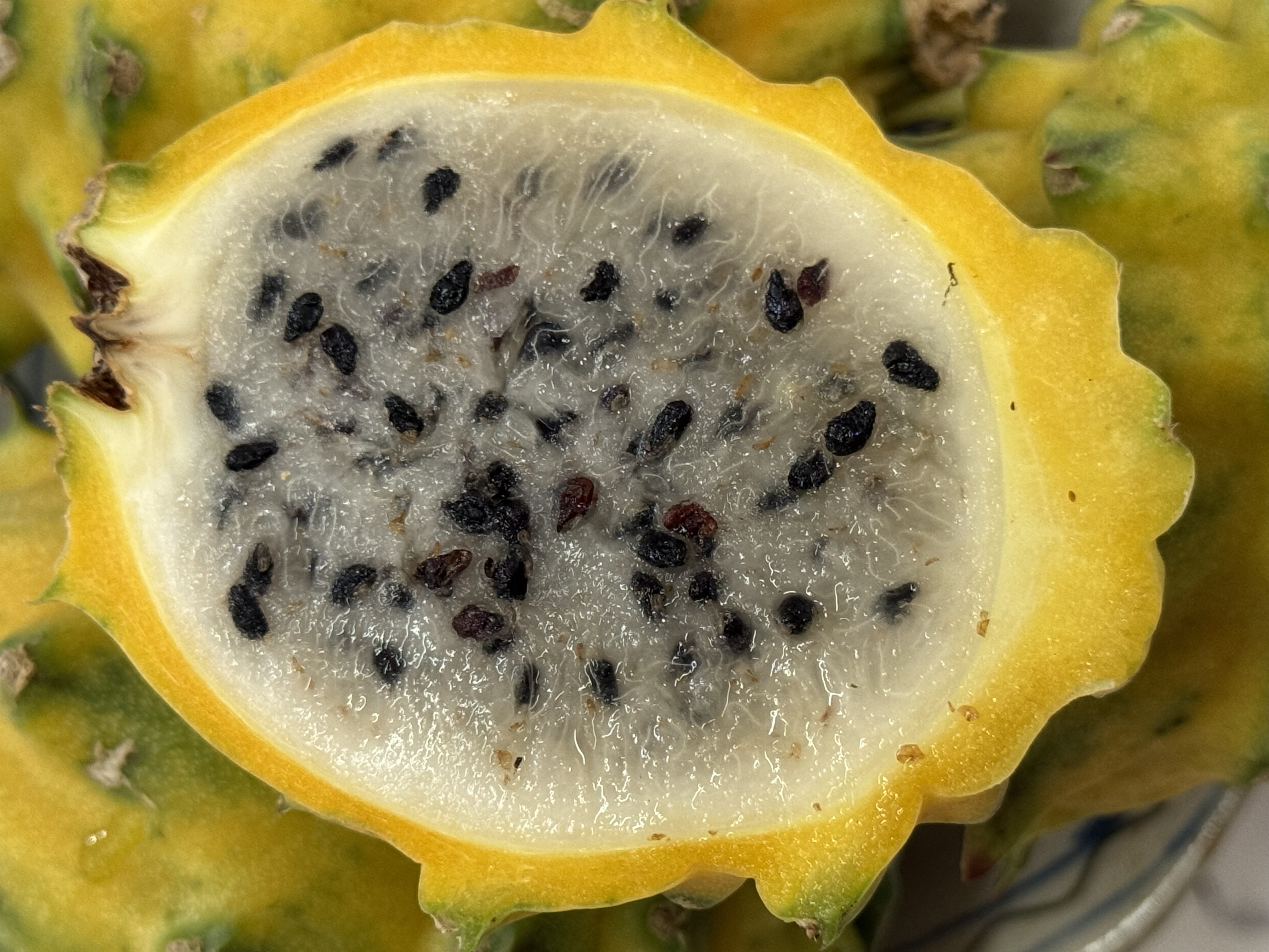 硇洲特色燕窝果