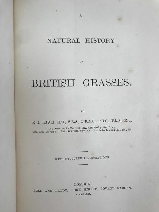1871年 英国草本植物自然史 约74幅套色版画插图 漆布精装16开 商品图4