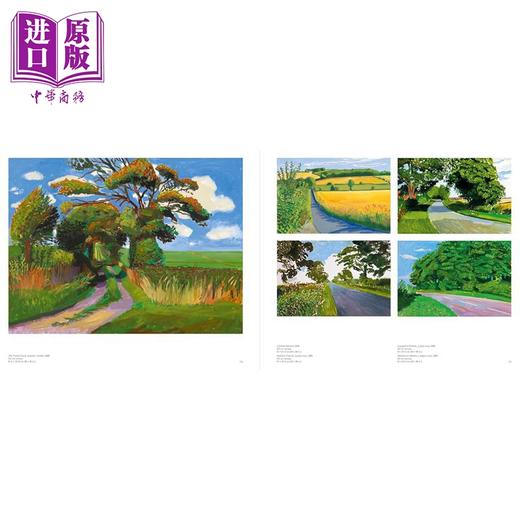 【中商原版】David Hockney 进口艺术 大卫 霍克尼 T&H 商品图4