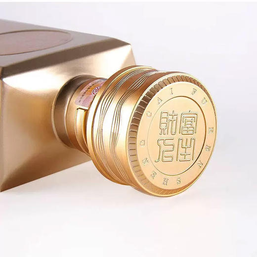 【一价到底】【五粮液财富人生金砖酒】52度浓香型白酒，匠心勾调，酒香温和，品质稳定，雍容饱满，回味悠长。 商品图4