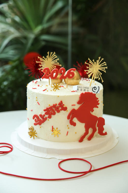 马上有钱 商品图0